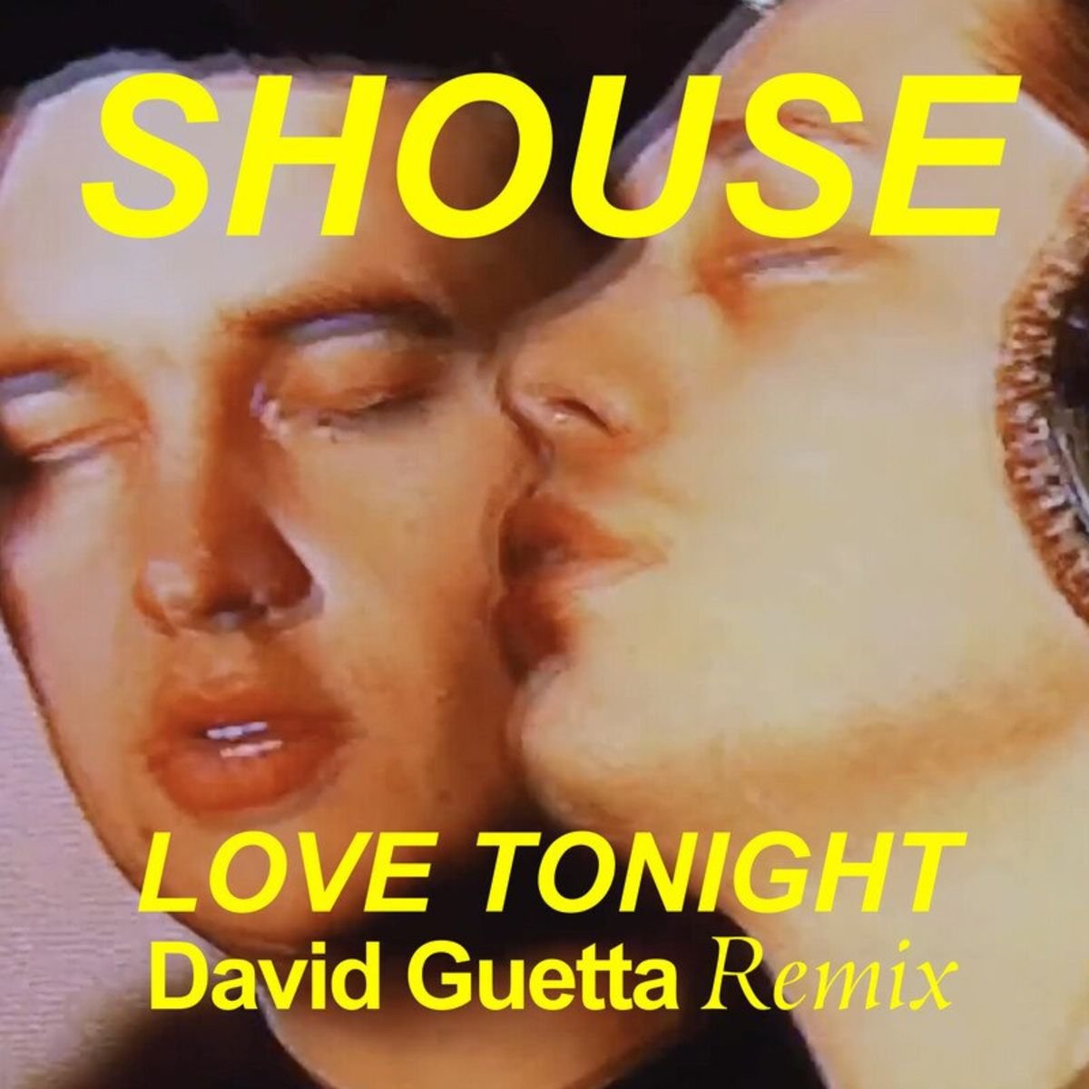 Shouse - Love Tonight (David Guetta Remix Edit)